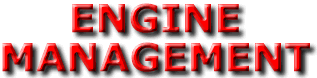 Engine Management logo